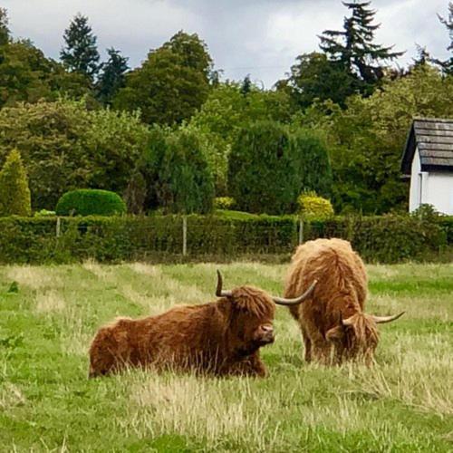 Highland Kilmorack